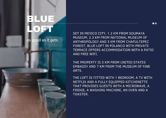 Blue Loft In Polanco With Private Terrace * Città del Messico